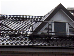 Ограждение, лестница и снегозадержатель для крыши из металлочерепицы